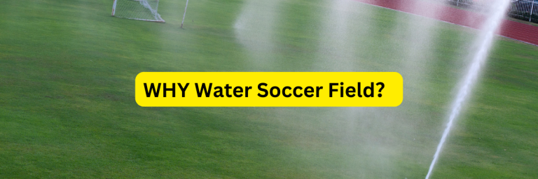 Why Do They Water the Soccer Field