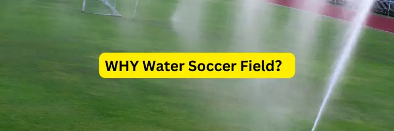 Why Do They Water the Soccer Field