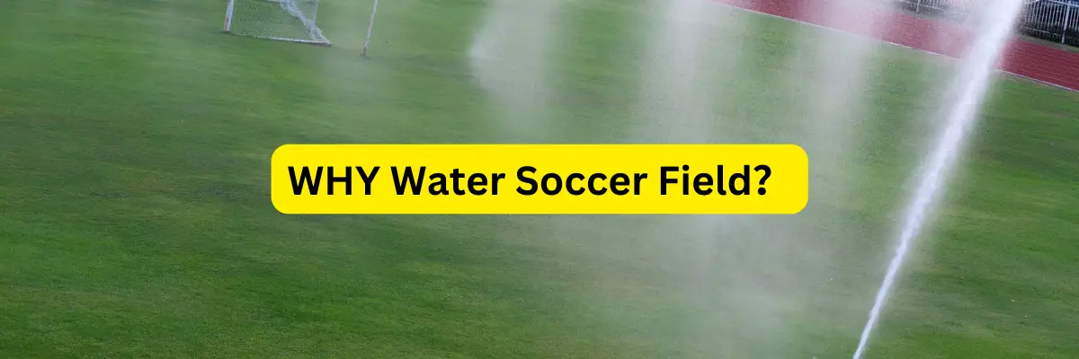 Why Do They Water the Soccer Field